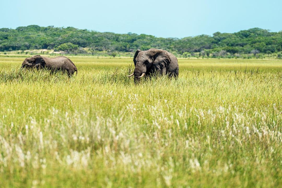 Montebelo Milibangalala Bay Resort Maputo Luaran gambar