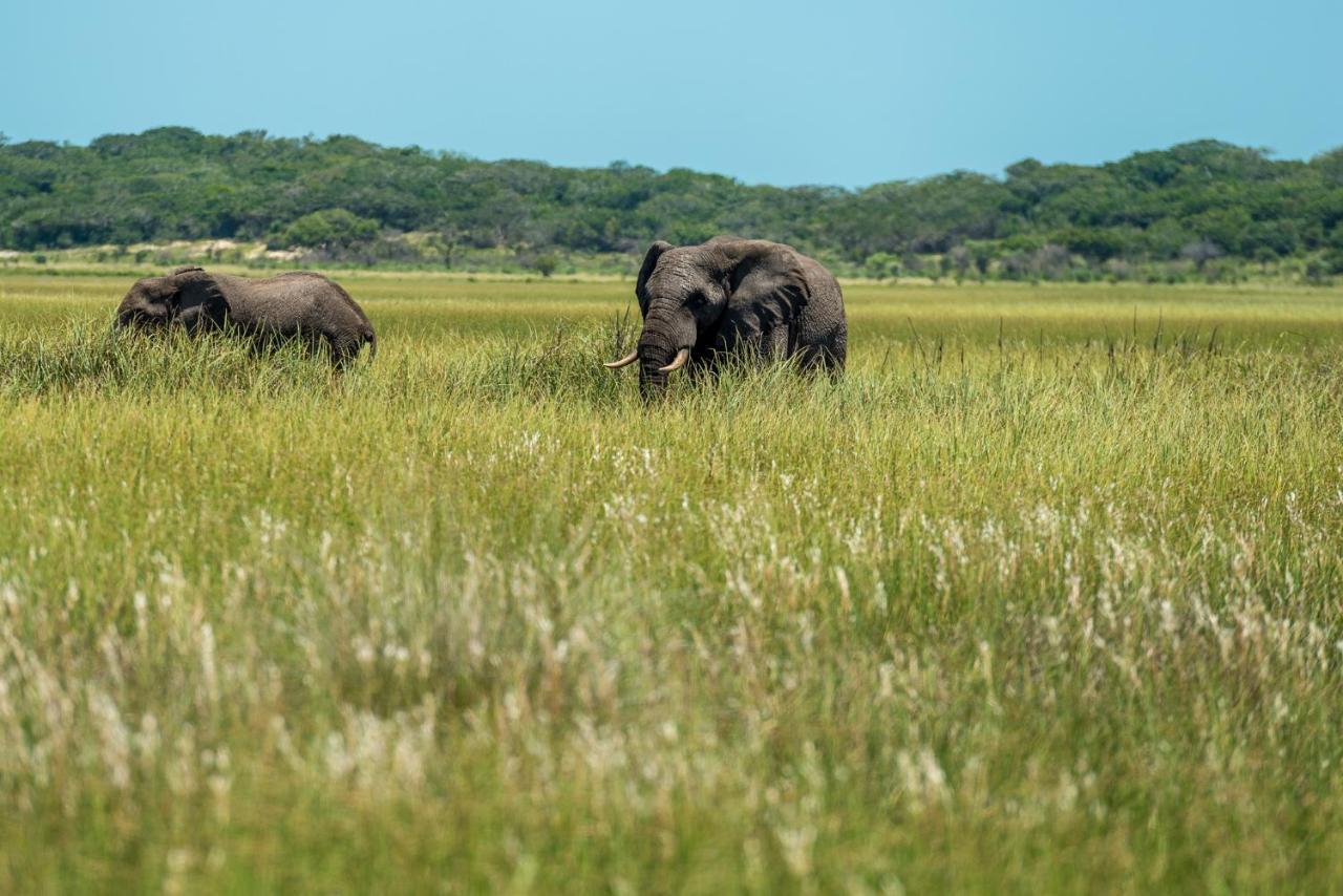 Montebelo Milibangalala Bay Resort Maputo Luaran gambar